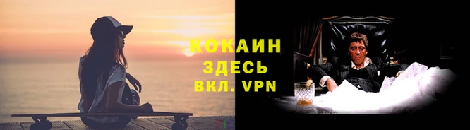 мяу мяу мука Алексин