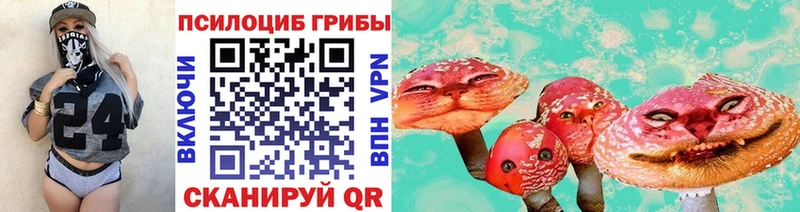 Галлюциногенные грибы Psilocybe  Коломна 